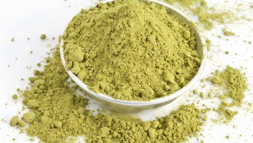 Rosemary extract powder