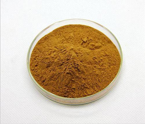 Rosemary extract powder