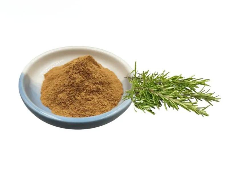 Rosemary extract powder