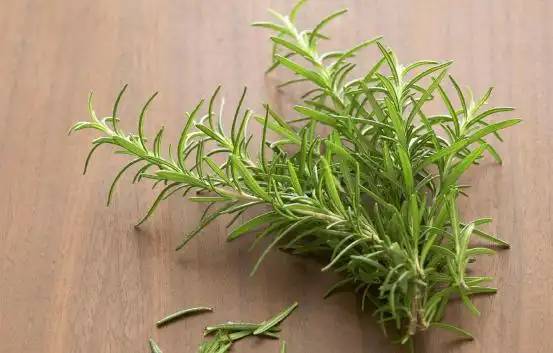 Rosemary