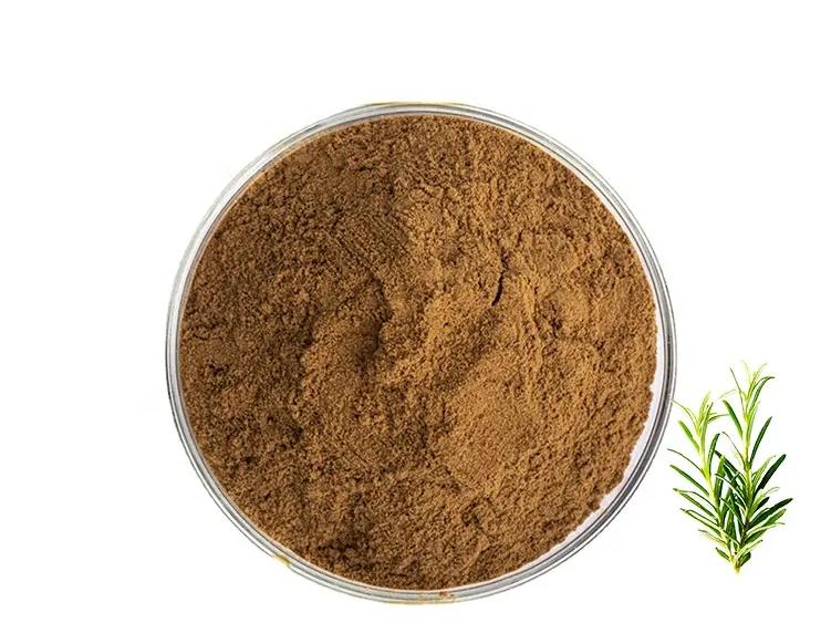 Rosemary extract powder