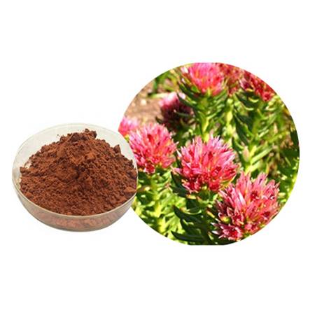 Rhodiola rosea extract powder