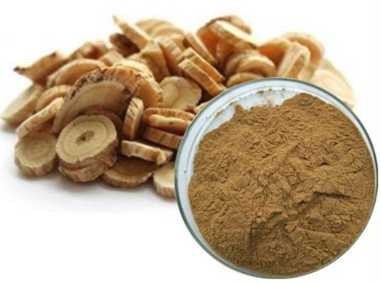 Astragalus Membranaceus extract powder