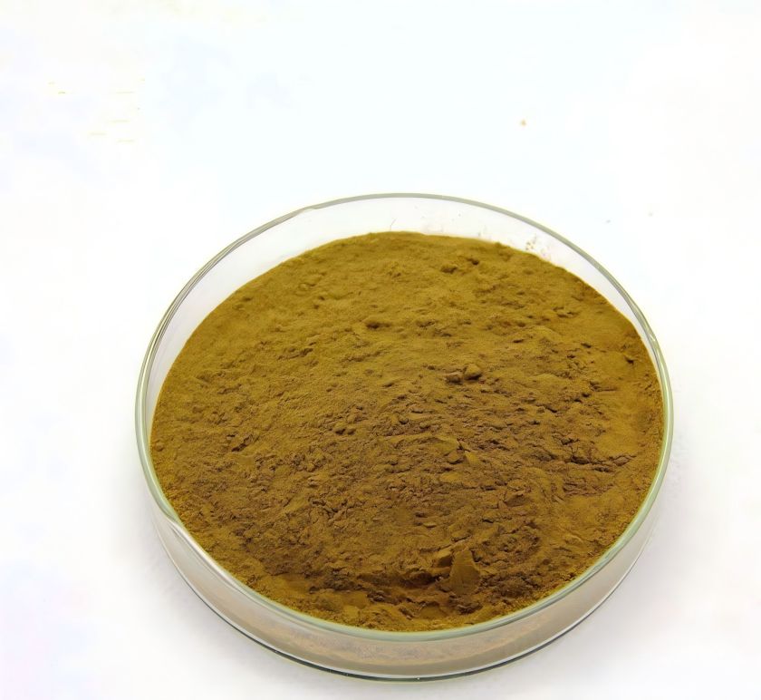 Astragalus Membranaceus extract powder