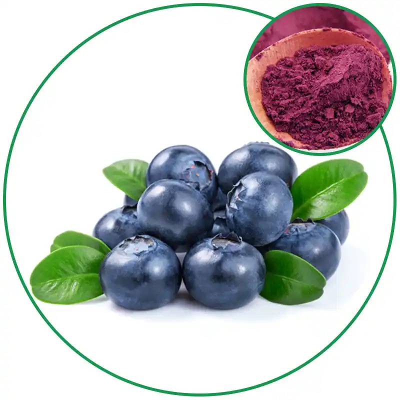 Blueberry extract powder 