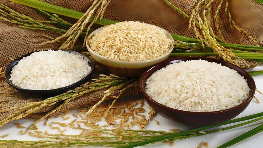 rice