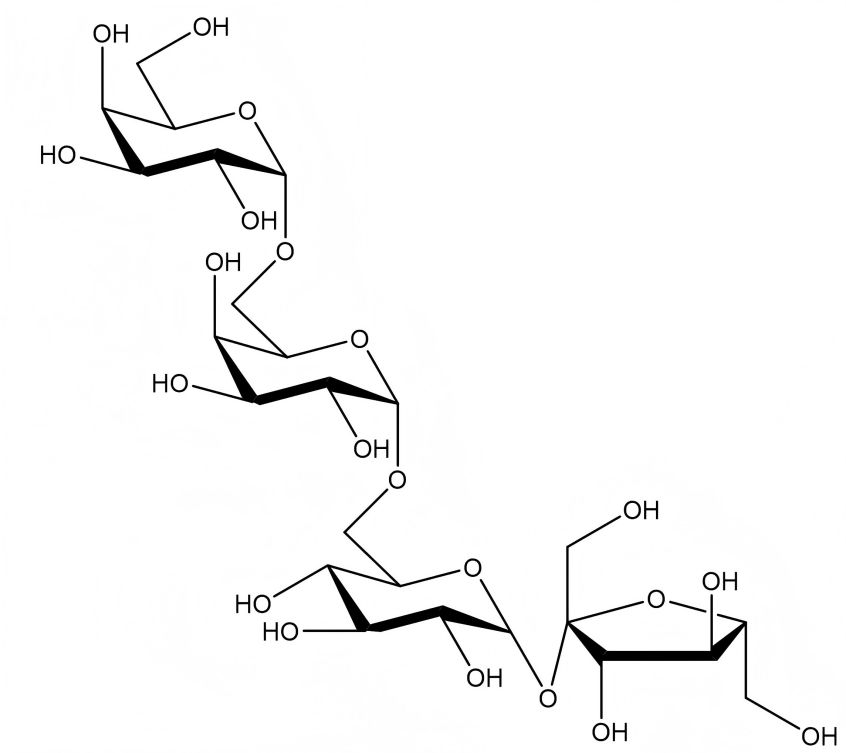 Stachyose structure