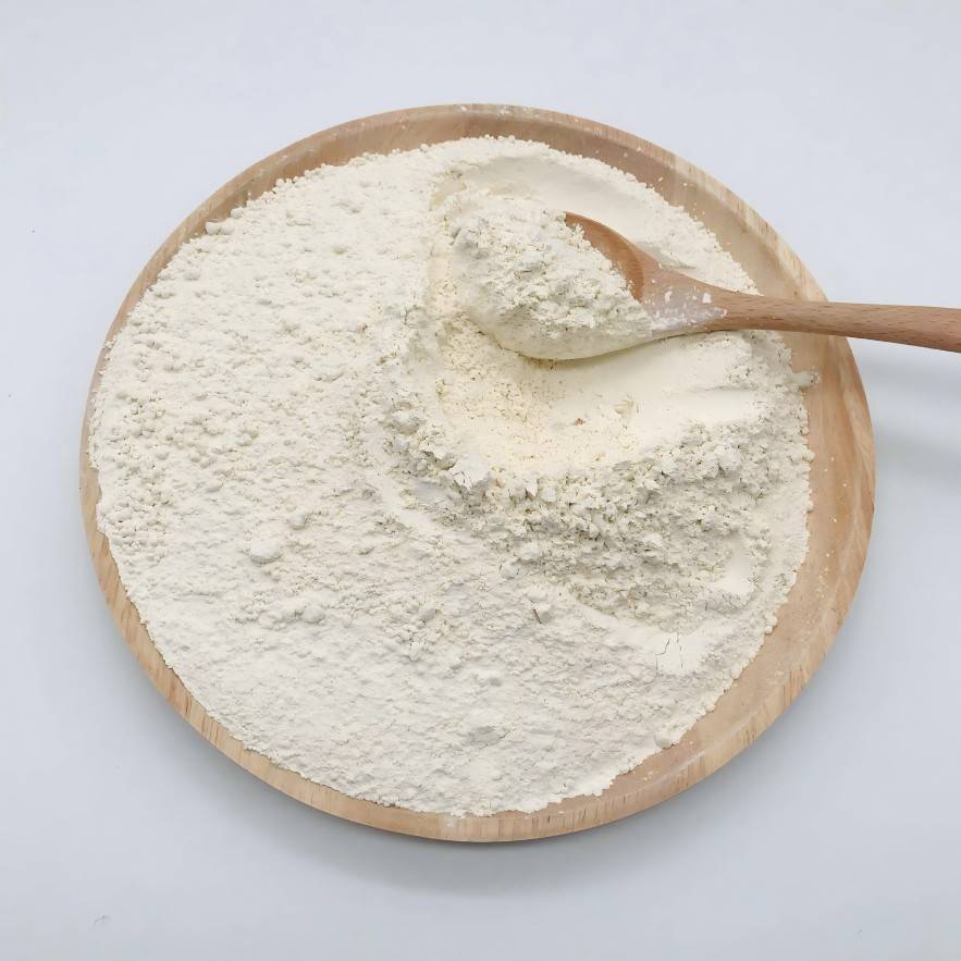 Rice Protein powder