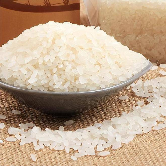 Rice
