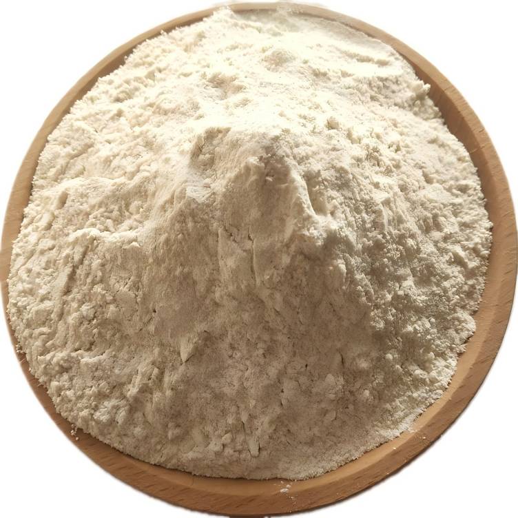 Rice Protein powder