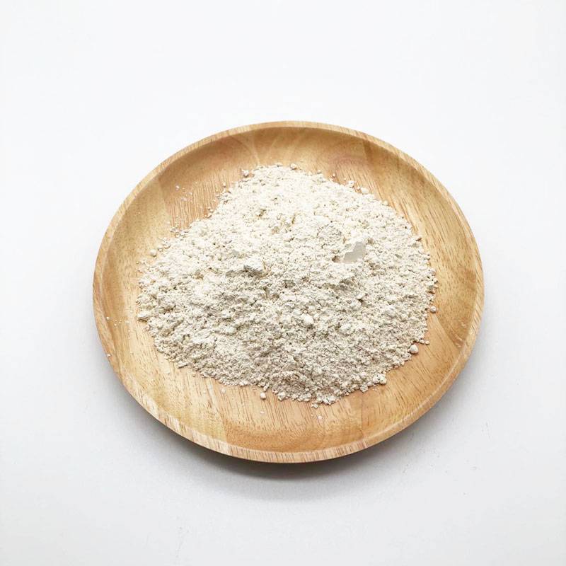 Rice Protein powder