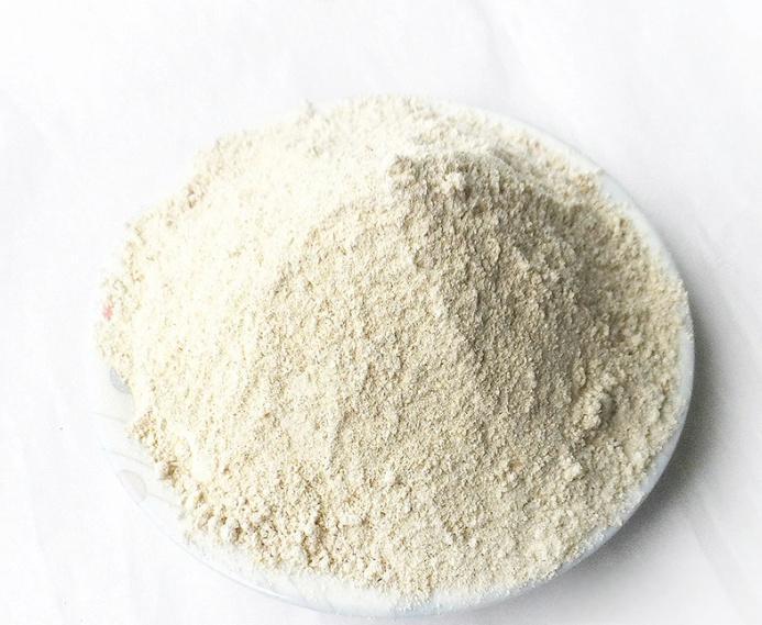 Rice Protein powder
