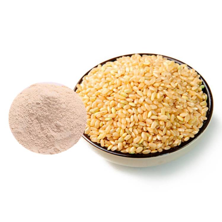 Rice Protein powder