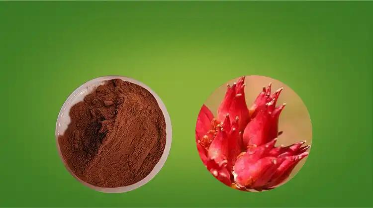 Rhodiola rosea extract powder