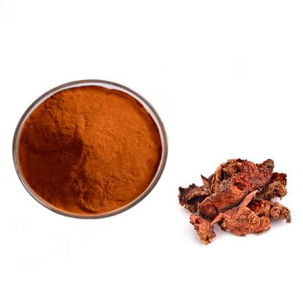 Rhodiola rosea extract powder