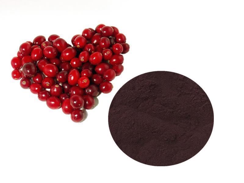 Cranberry extract powder