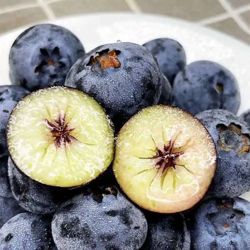 Blueberry Fruit 