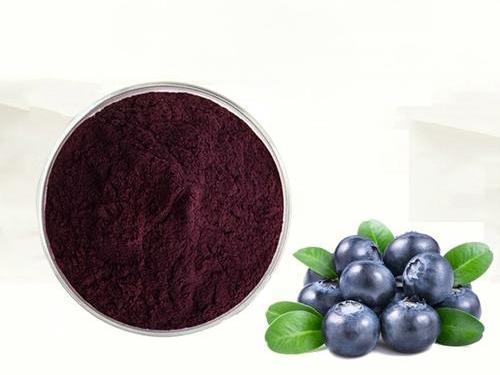 Blueberry extract powder