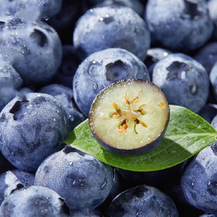 Blueberry Fruit 