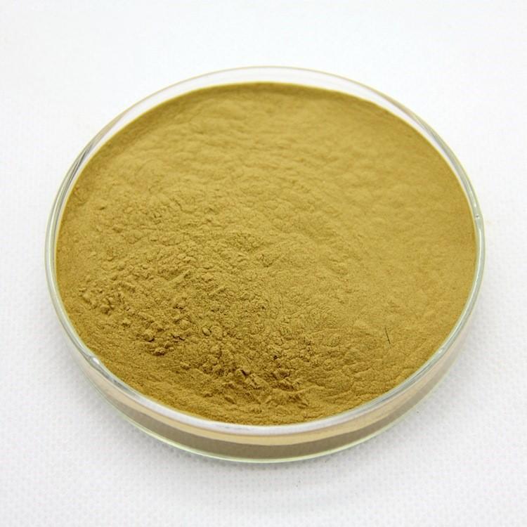 Astragalus Membranaceus extract powder