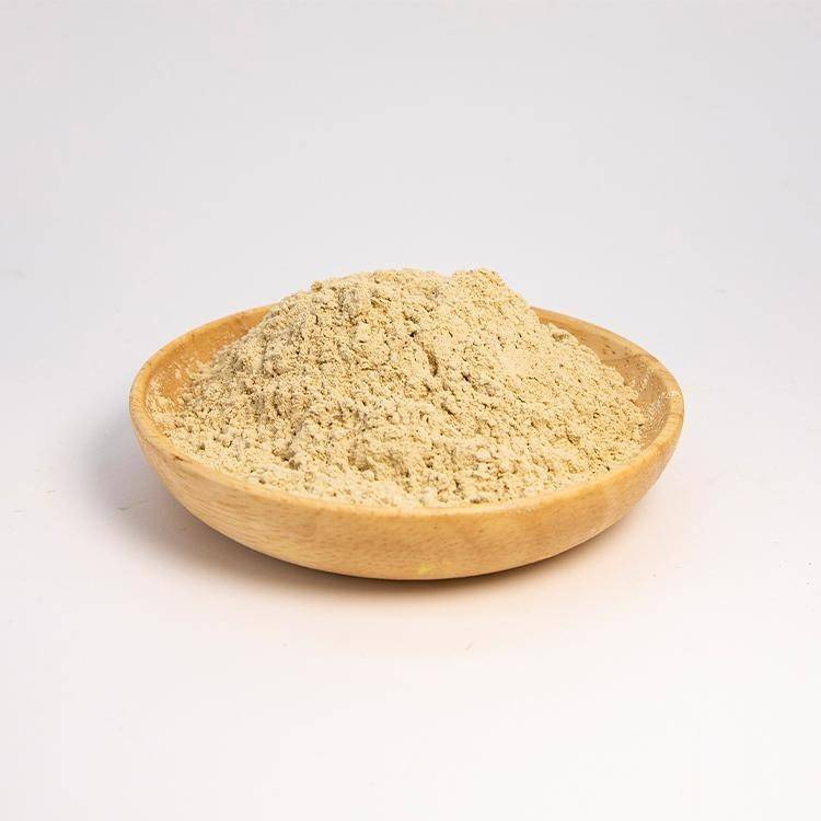 Astragalus Membranaceus extract powder