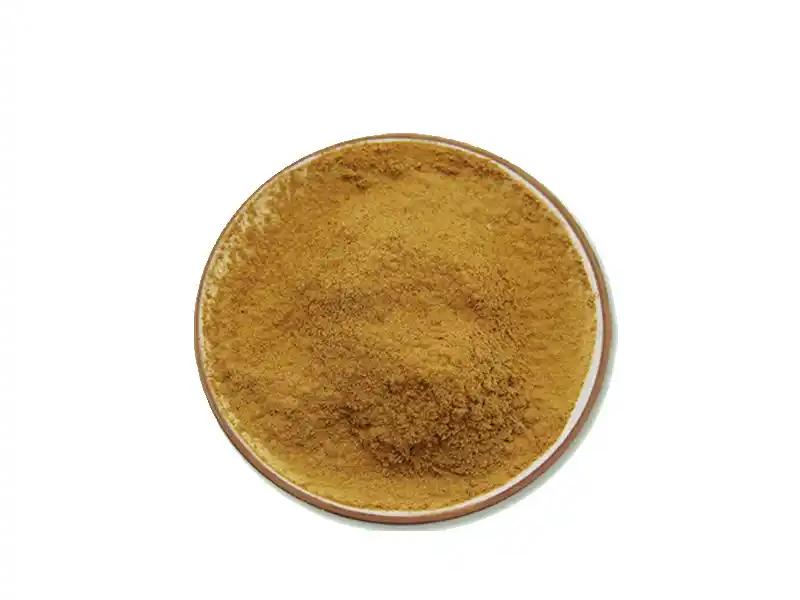 Astragalus Membranaceus extract powder