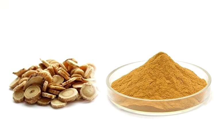 Astragalus Membranaceus extract powder