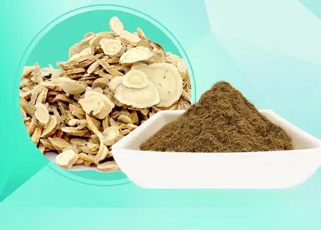 Astragalus Membranaceus extract powder