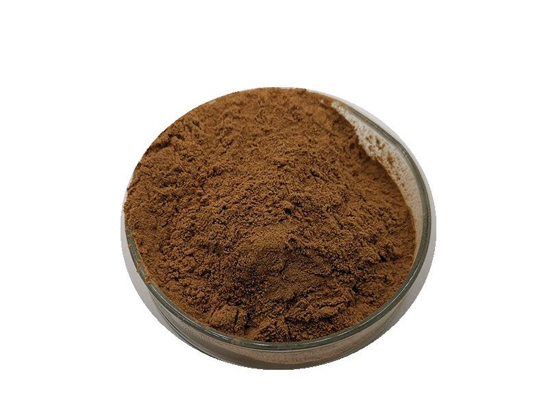  Cistanche Tubulosa extract powder
