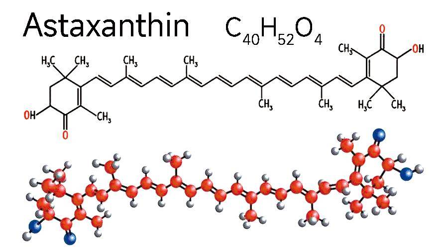 Astaxanthin extract