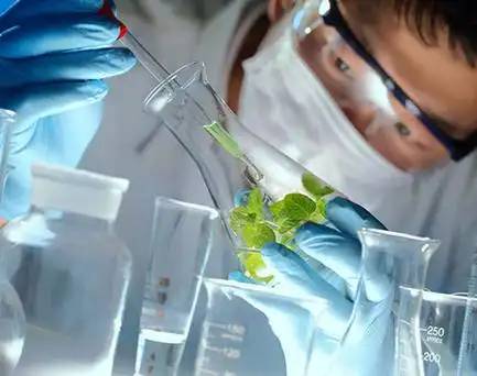 plant extraction