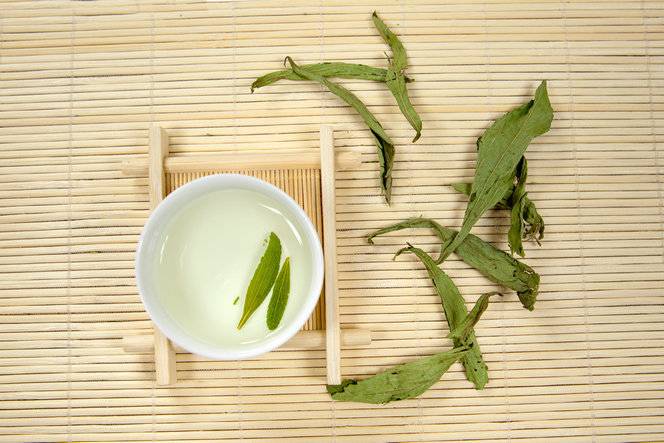 Stevia leaves