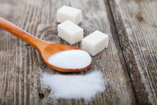 Stevia extract powder