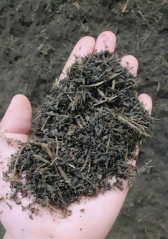 Stevia feed additive