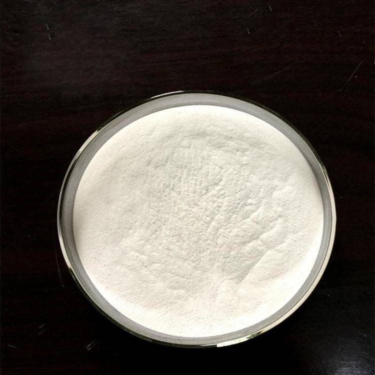  Galacto Oligosaccharides powder