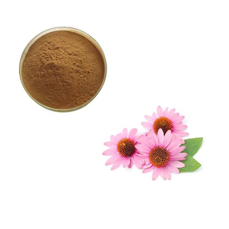 Echinacea Extract powder