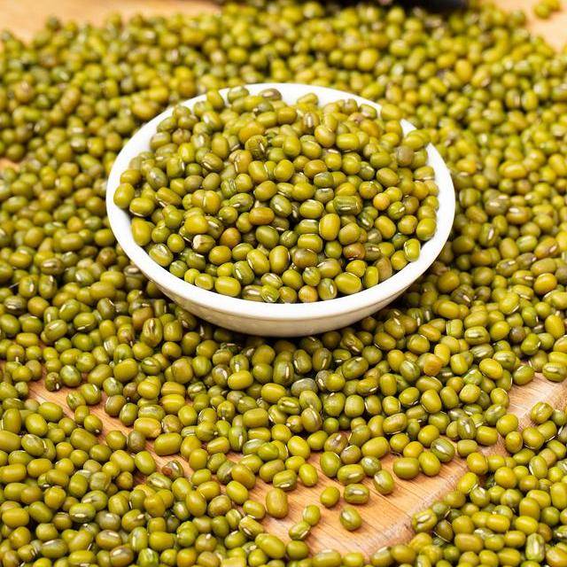 Mung Bean