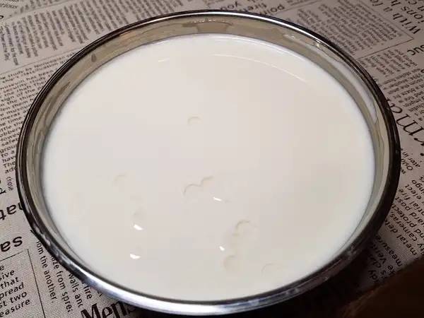 wheat protein powder product