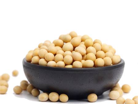 soy
