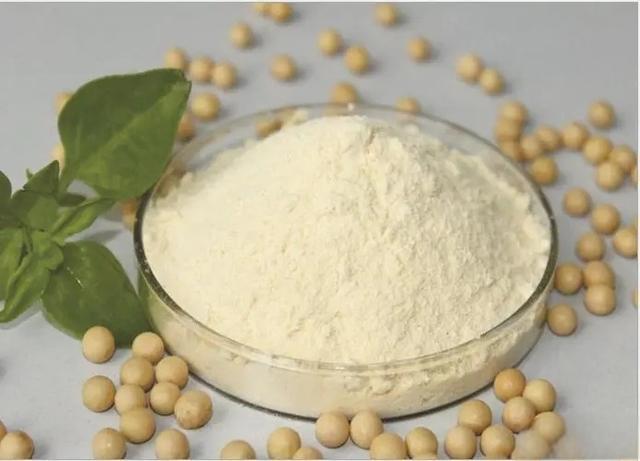 Soy Protein powder