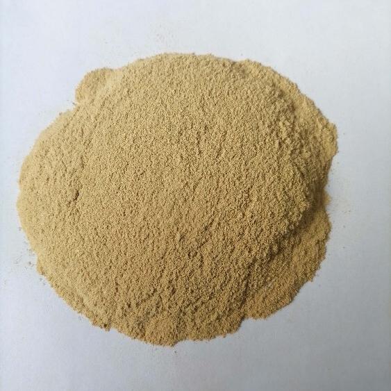 Soy protein feed