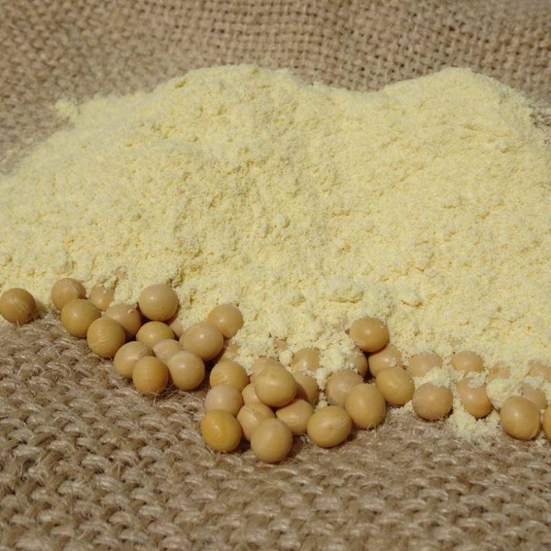 Soy Protein