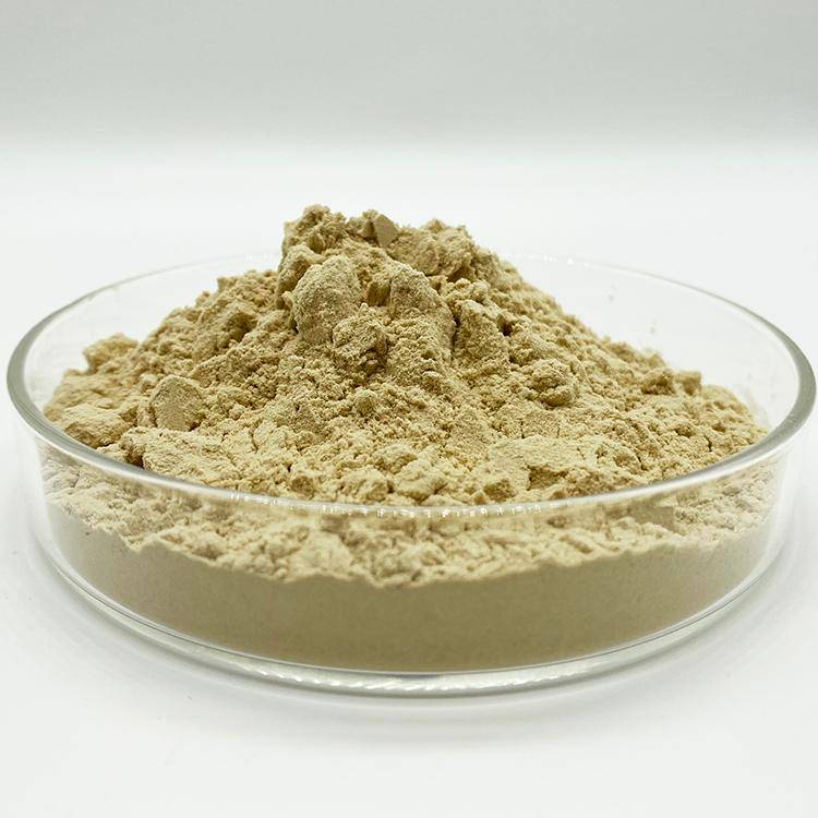 Beta Glucan powder