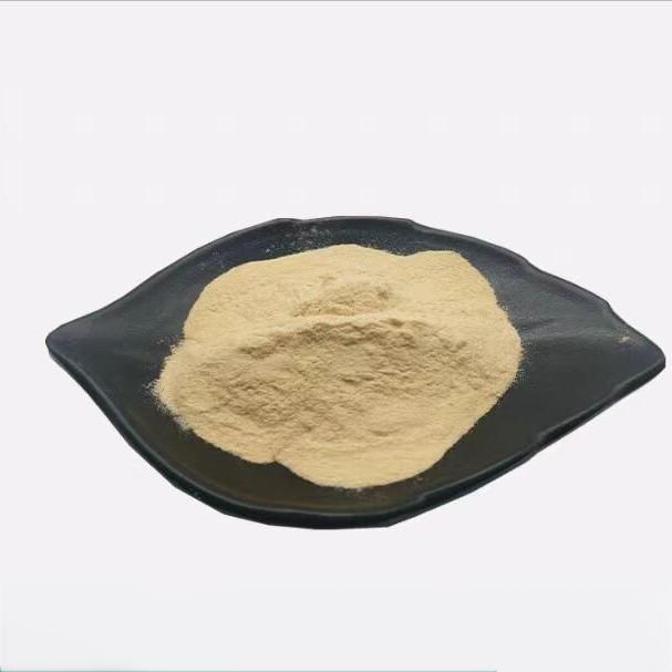 Beta Glucan powder