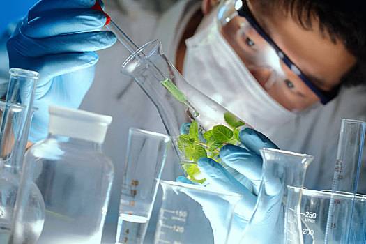 plant extraction