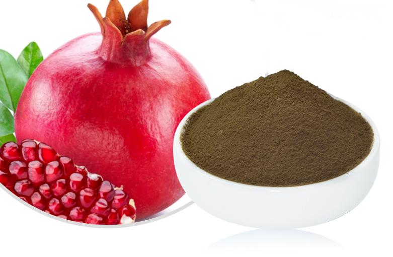 Pomegranate Peel Extract Powder