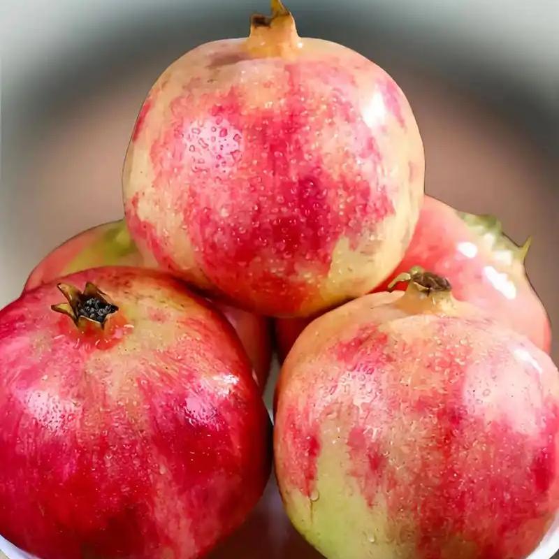 Pomegranate Peel