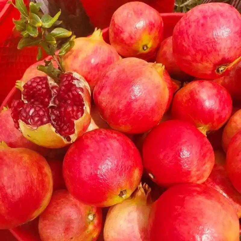 Pomegranate Peel