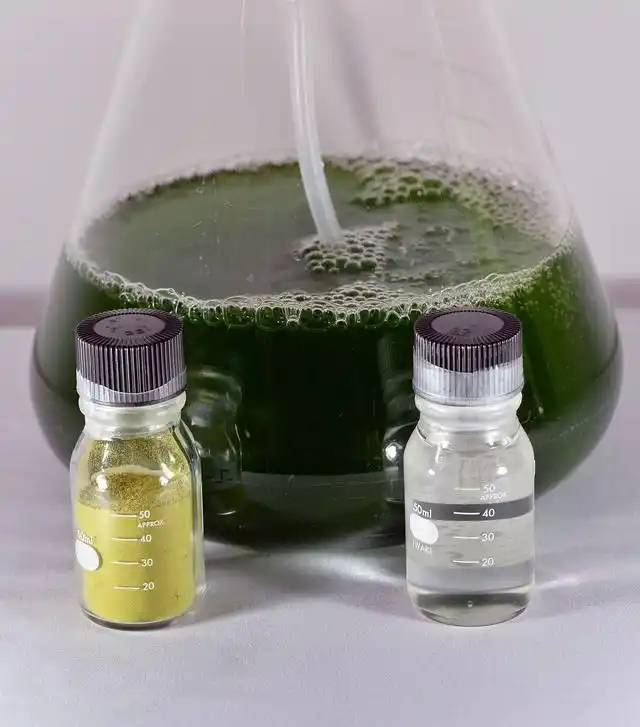 plant extraction