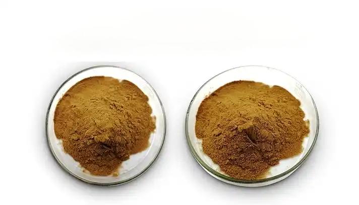Epimedium extract powder